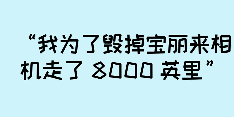 “我为了毁掉宝丽来相机走了 8000 英里”