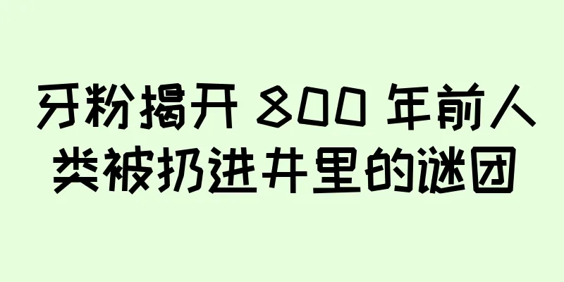 牙粉揭开 800 年前人类被扔进井里的谜团