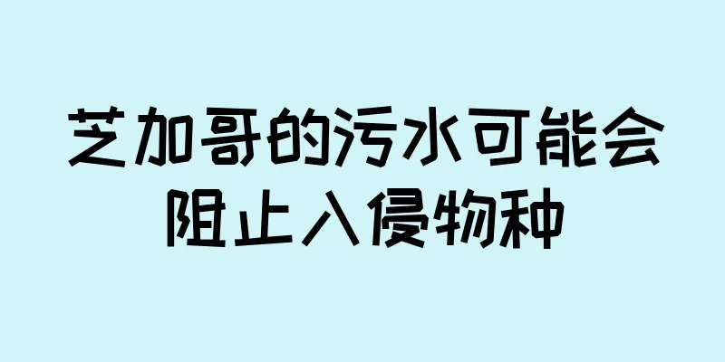 芝加哥的污水可能会阻止入侵物种
