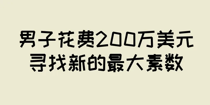 男子花费200万美元寻找新的最大素数
