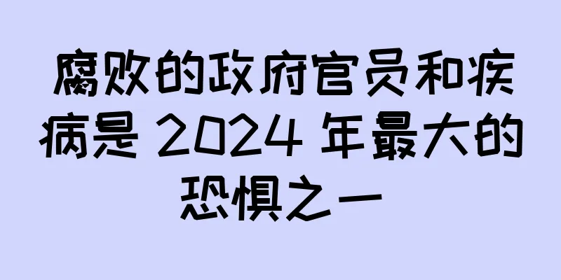 腐败的政府官员和疾病是 2024 年最大的恐惧之一