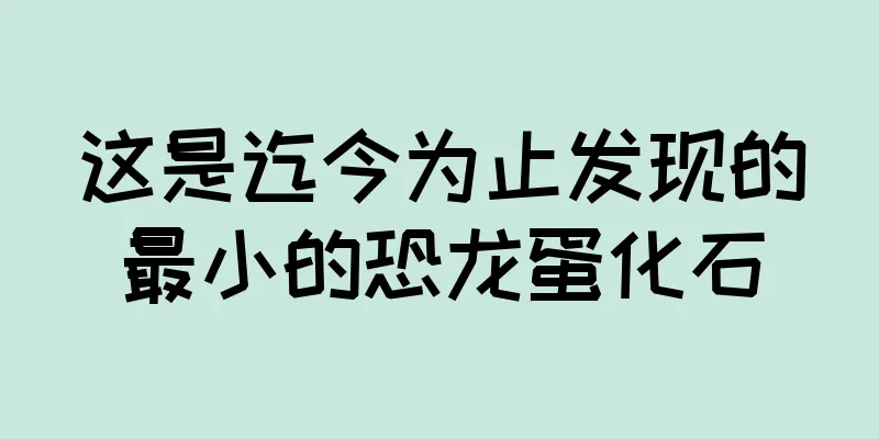 这是迄今为止发现的最小的恐龙蛋化石