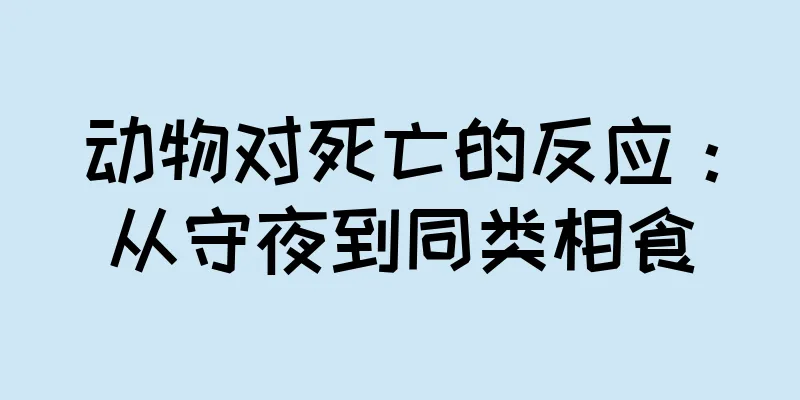 动物对死亡的反应：从守夜到同类相食