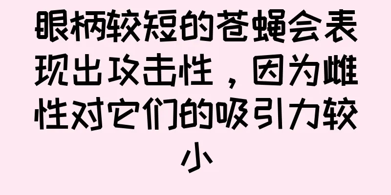 眼柄较短的苍蝇会表现出攻击性，因为雌性对它们的吸引力较小