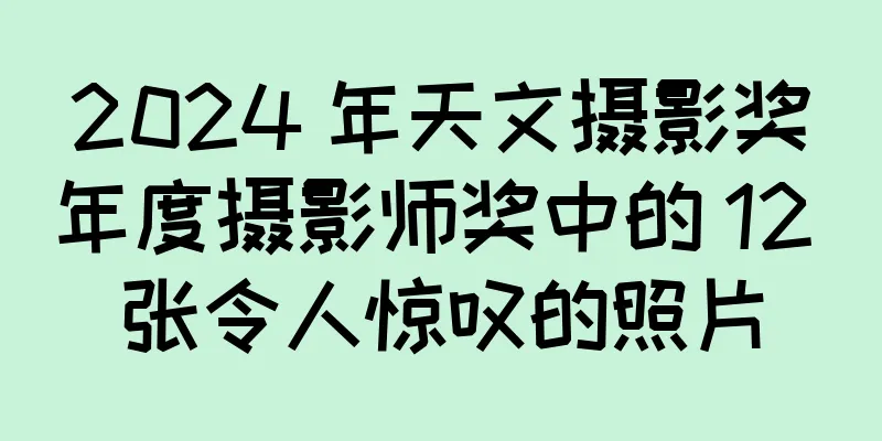 2024 年天文摄影奖年度摄影师奖中的 12 张令人惊叹的照片