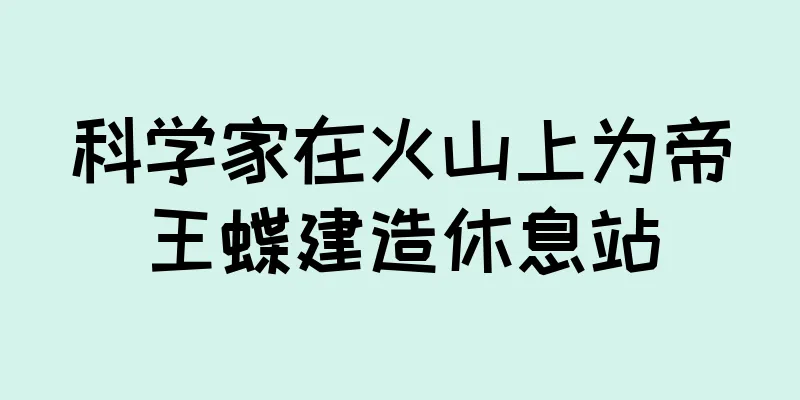 科学家在火山上为帝王蝶建造休息站