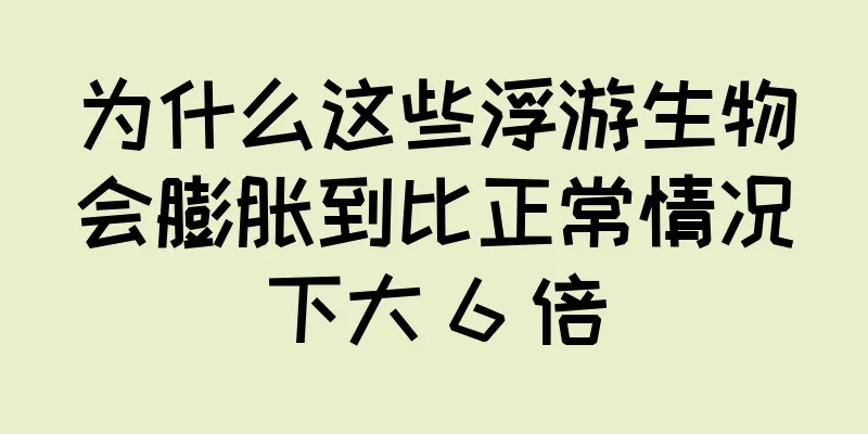 为什么这些浮游生物会膨胀到比正常情况下大 6 倍