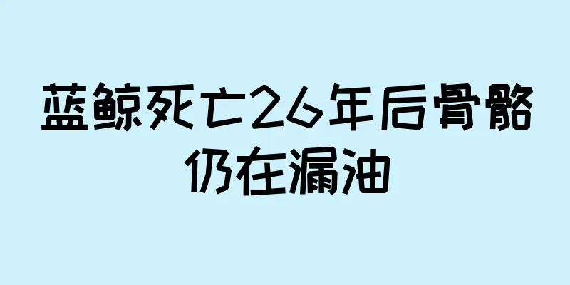 蓝鲸死亡26年后骨骼仍在漏油