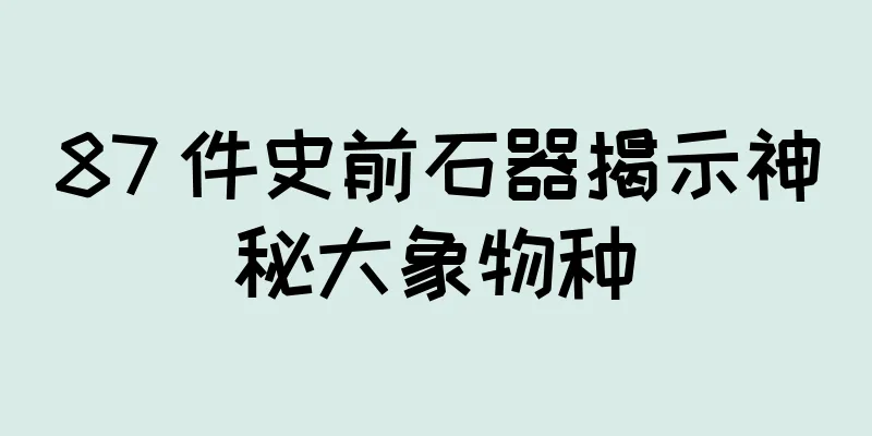 87 件史前石器揭示神秘大象物种