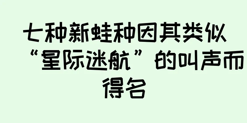 七种新蛙种因其类似“星际迷航”的叫声而得名
