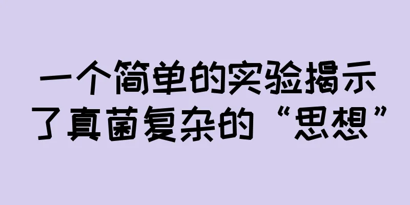 一个简单的实验揭示了真菌复杂的“思想”