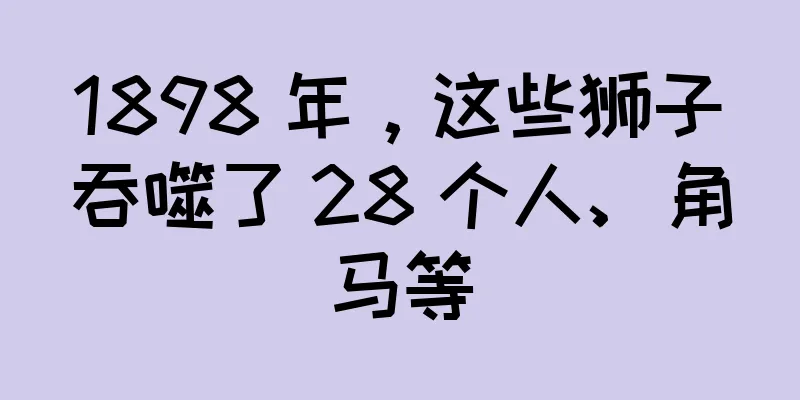 1898 年，这些狮子吞噬了 28 个人、角马等