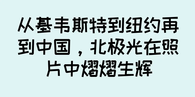 从基韦斯特到纽约再到中国，北极光在照片中熠熠生辉