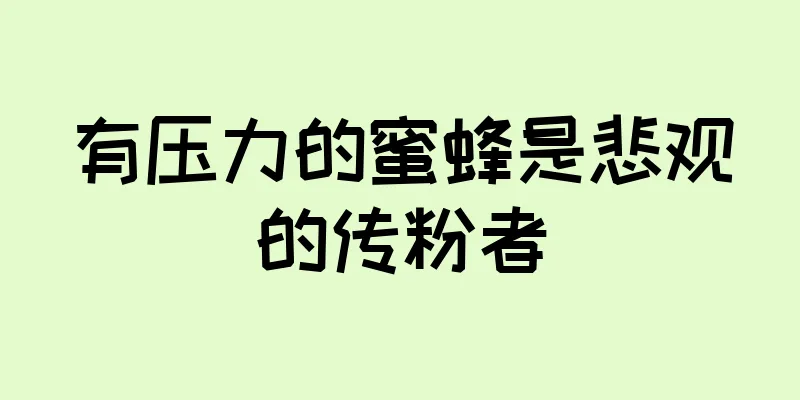有压力的蜜蜂是悲观的传粉者