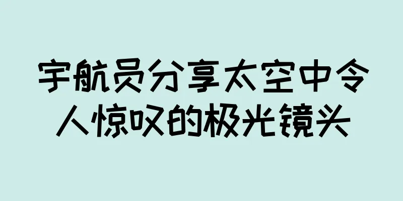 宇航员分享太空中令人惊叹的极光镜头
