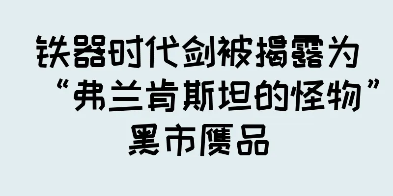 铁器时代剑被揭露为“弗兰肯斯坦的怪物”黑市赝品
