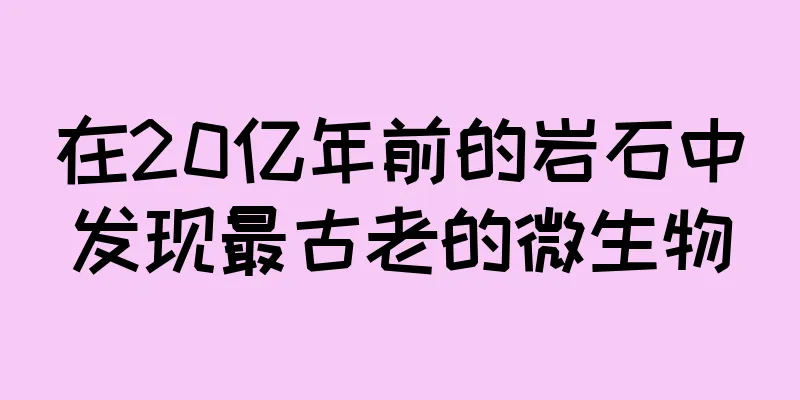在20亿年前的岩石中发现最古老的微生物