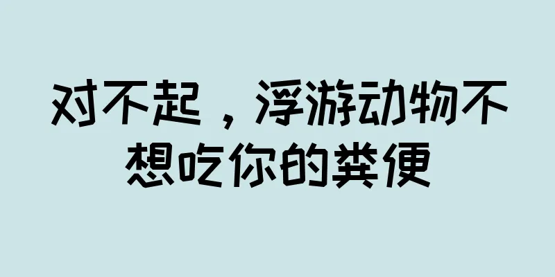 对不起，浮游动物不想吃你的粪便