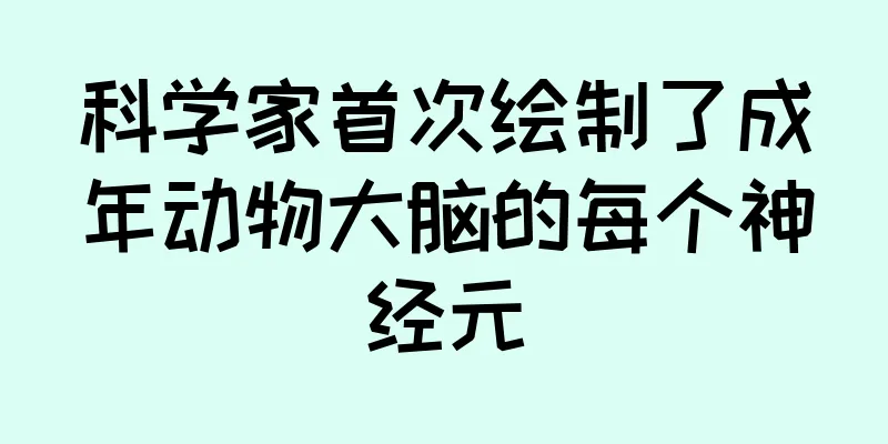 科学家首次绘制了成年动物大脑的每个神经元