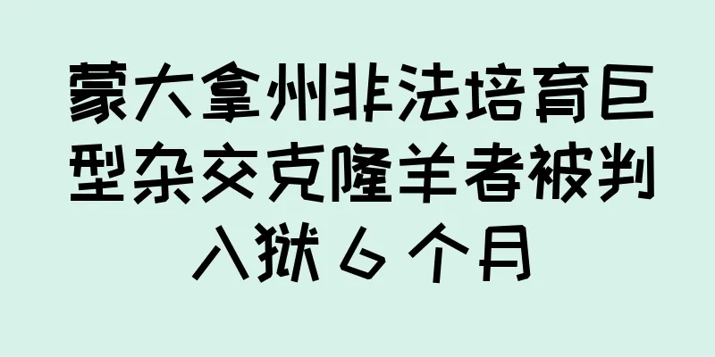 蒙大拿州非法培育巨型杂交克隆羊者被判入狱 6 个月