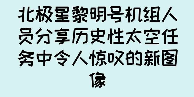 北极星黎明号机组人员分享历史性太空任务中令人惊叹的新图像