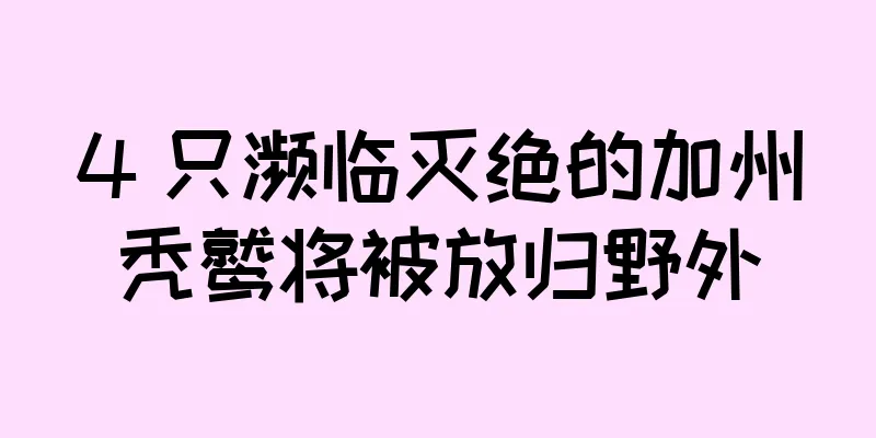 4 只濒临灭绝的加州秃鹫将被放归野外