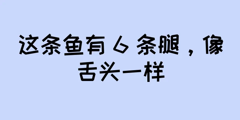 这条鱼有 6 条腿，像舌头一样