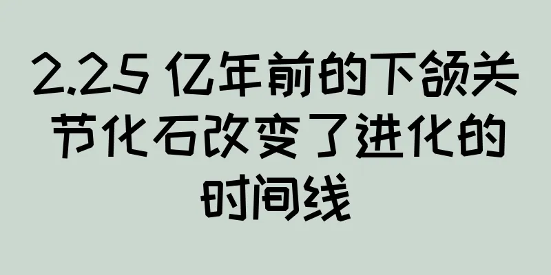 2.25 亿年前的下颌关节化石改变了进化的时间线