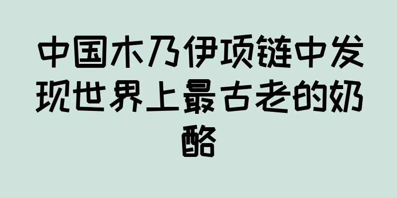 中国木乃伊项链中发现世界上最古老的奶酪