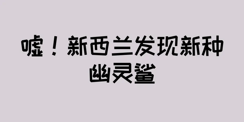 嘘！新西兰发现新种幽灵鲨