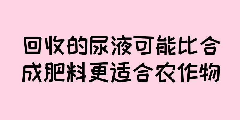 回收的尿液可能比合成肥料更适合农作物
