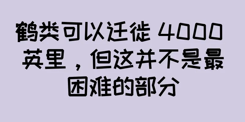 鹤类可以迁徙 4000 英里，但这并不是最困难的部分