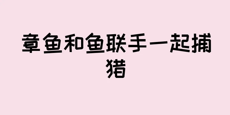 章鱼和鱼联手一起捕猎