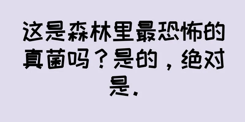 这是森林里最恐怖的真菌吗？是的，绝对是。