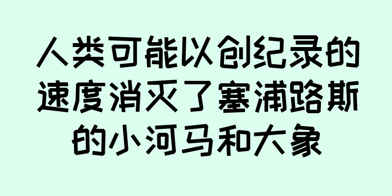 人类可能以创纪录的速度消灭了塞浦路斯的小河马和大象