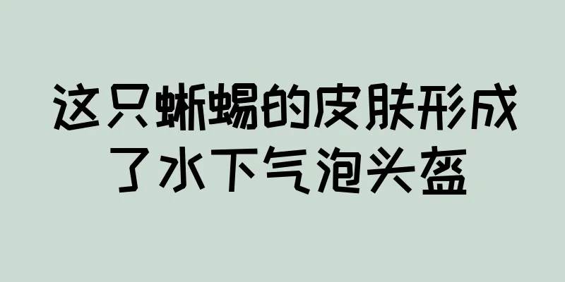 这只蜥蜴的皮肤形成了水下气泡头盔