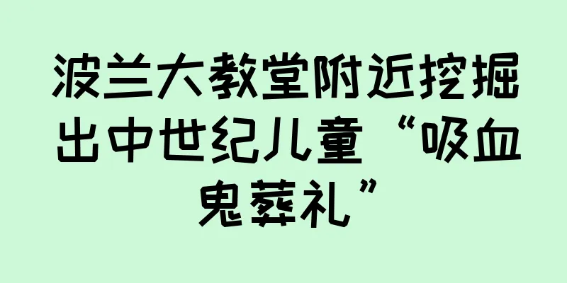 波兰大教堂附近挖掘出中世纪儿童“吸血鬼葬礼”