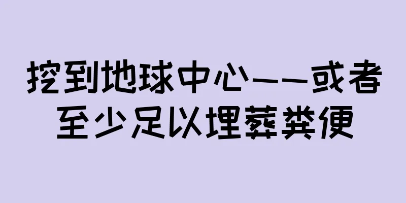 挖到地球中心——或者至少足以埋葬粪便