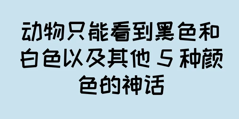 动物只能看到黑色和白色以及其他 5 种颜色的神话