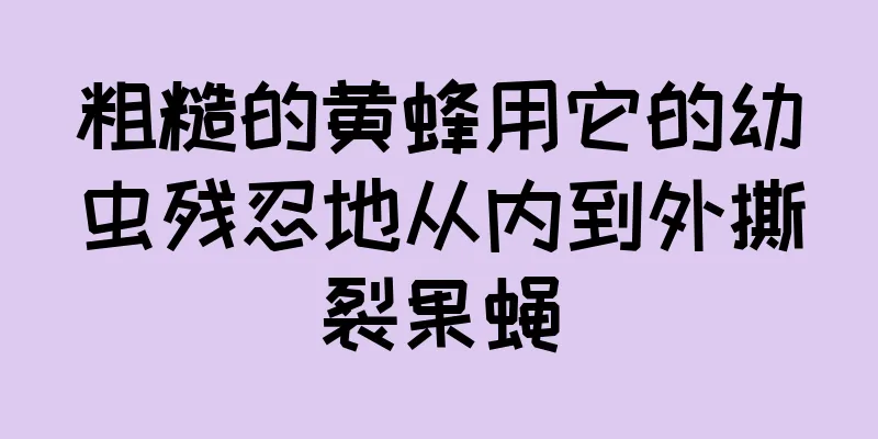 粗糙的黄蜂用它的幼虫残忍地从内到外撕裂果蝇