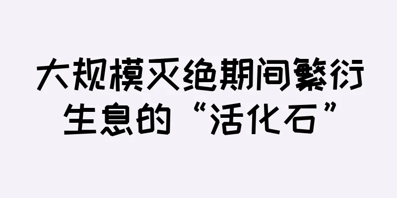 大规模灭绝期间繁衍生息的“活化石”