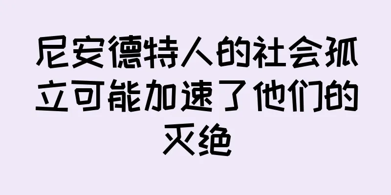 尼安德特人的社会孤立可能加速了他们的灭绝