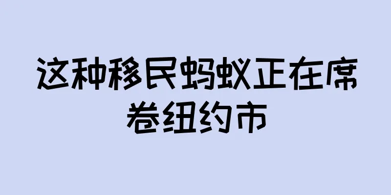 这种移民蚂蚁正在席卷纽约市