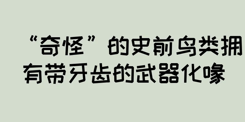 “奇怪”的史前鸟类拥有带牙齿的武器化喙