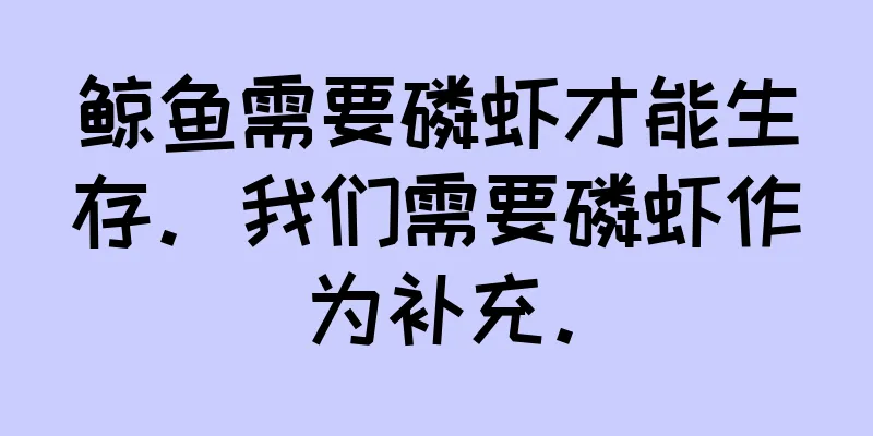 鲸鱼需要磷虾才能生存。我们需要磷虾作为补充。