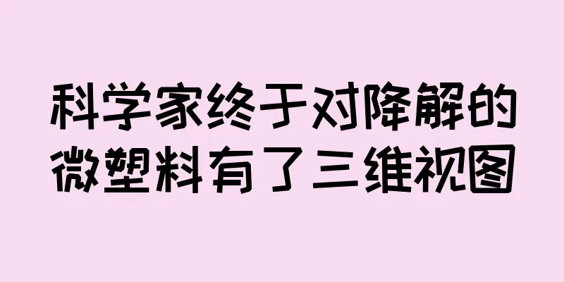 科学家终于对降解的微塑料有了三维视图