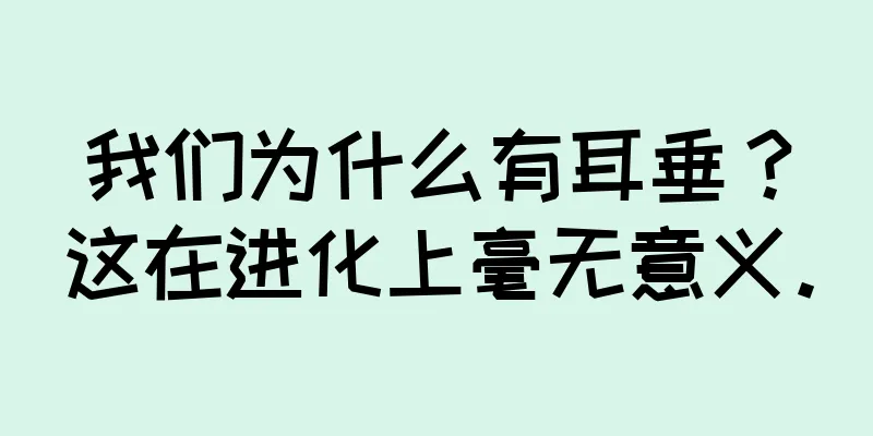 我们为什么有耳垂？这在进化上毫无意义。