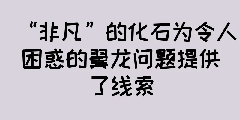 “非凡”的化石为令人困惑的翼龙问题提供了线索