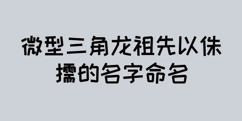 微型三角龙祖先以侏儒的名字命名