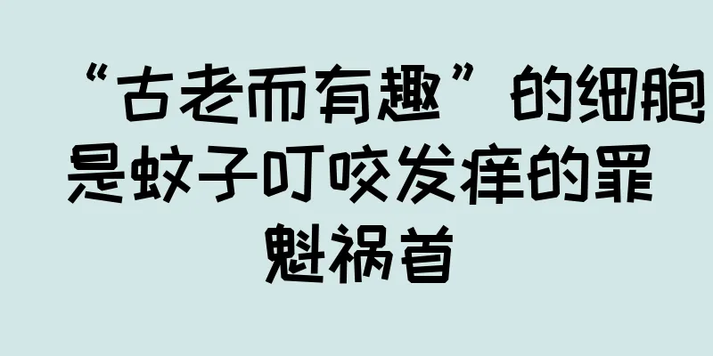 “古老而有趣”的细胞是蚊子叮咬发痒的罪魁祸首
